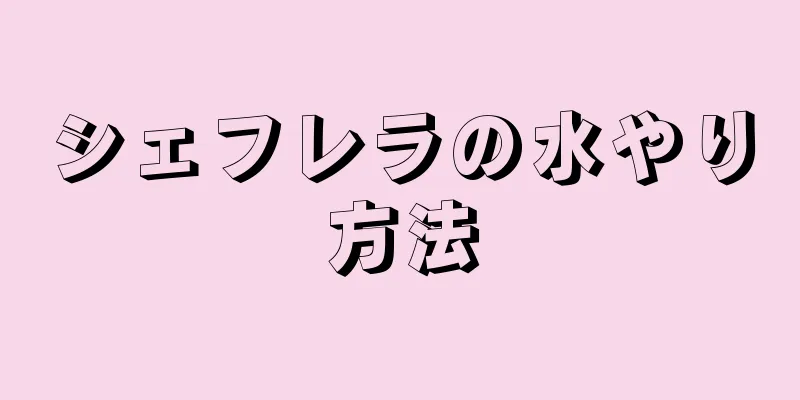 シェフレラの水やり方法