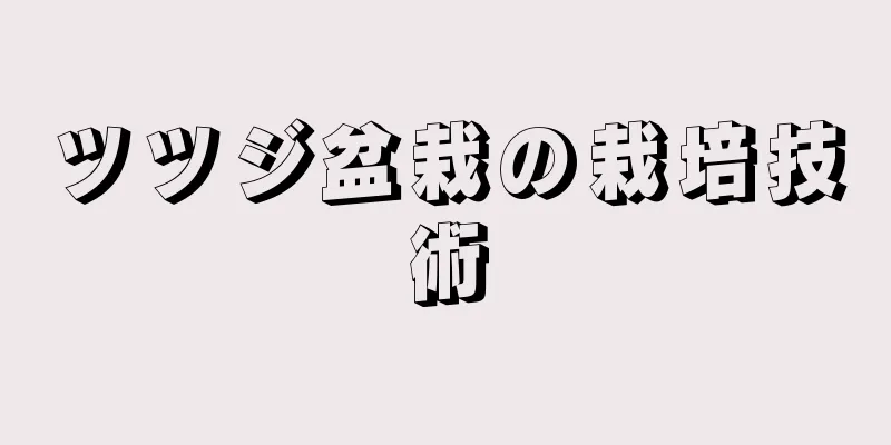 ツツジ盆栽の栽培技術