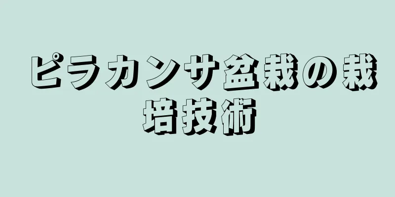 ピラカンサ盆栽の栽培技術