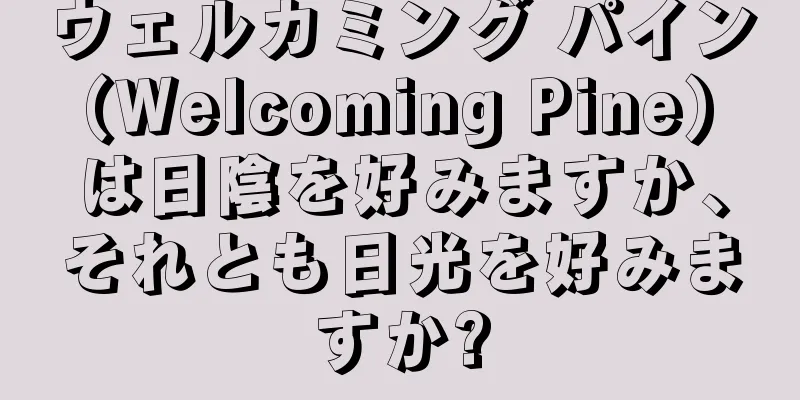 ウェルカミング パイン (Welcoming Pine) は日陰を好みますか、それとも日光を好みますか?