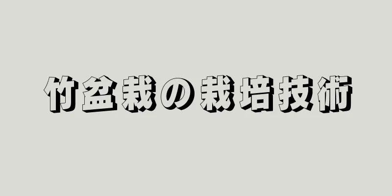竹盆栽の栽培技術