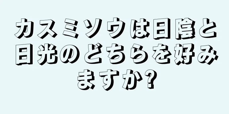 カスミソウは日陰と日光のどちらを好みますか?