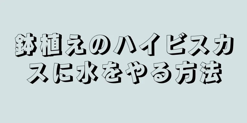 鉢植えのハイビスカスに水をやる方法