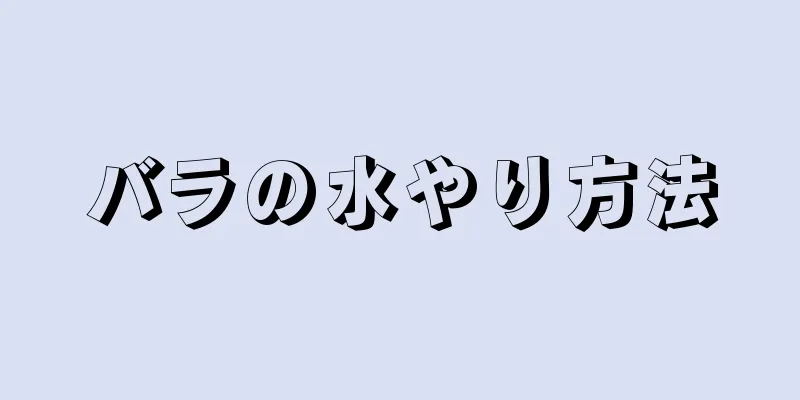 バラの水やり方法