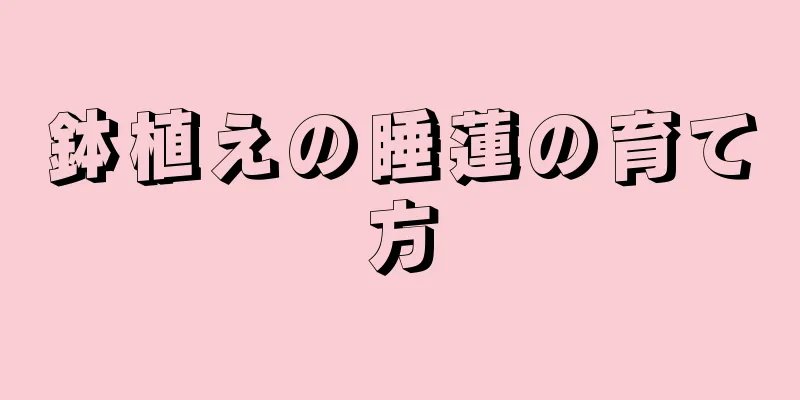 鉢植えの睡蓮の育て方