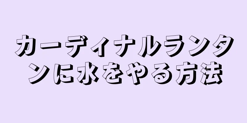 カーディナルランタンに水をやる方法