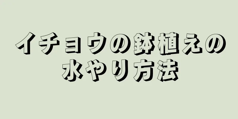 イチョウの鉢植えの水やり方法