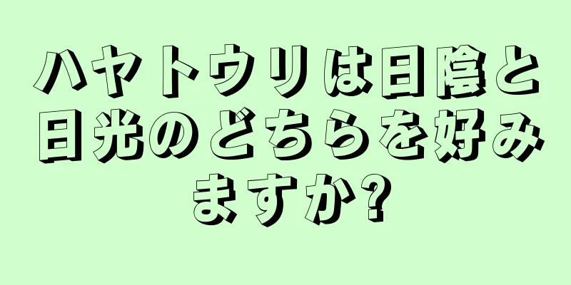 ハヤトウリは日陰と日光のどちらを好みますか?