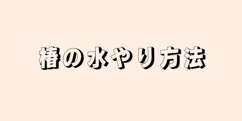 椿の水やり方法