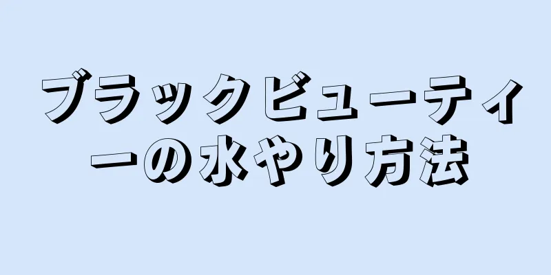 ブラックビューティーの水やり方法