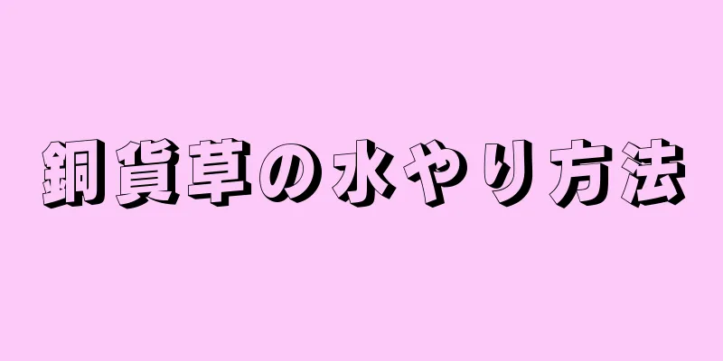 銅貨草の水やり方法