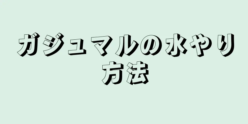 ガジュマルの水やり方法