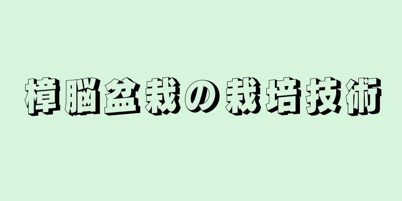 樟脳盆栽の栽培技術