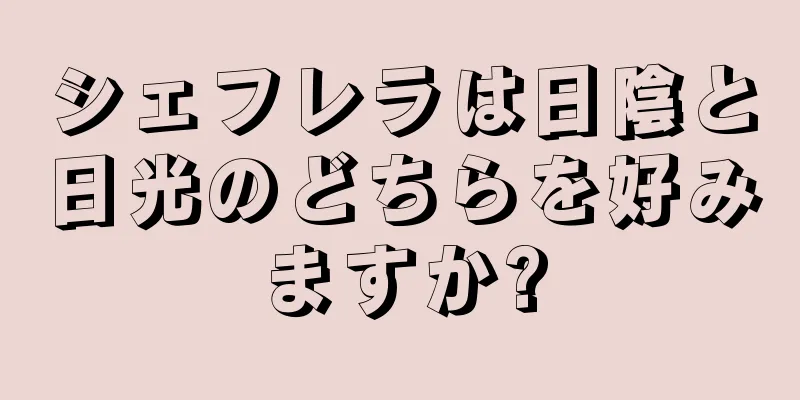 シェフレラは日陰と日光のどちらを好みますか?