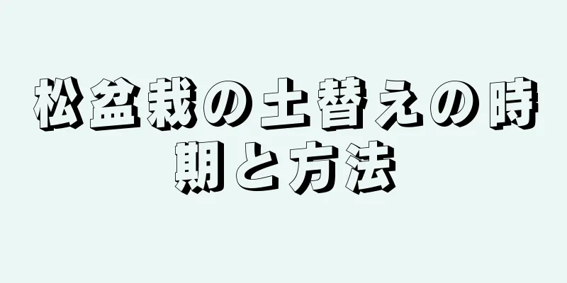 松盆栽の土替えの時期と方法