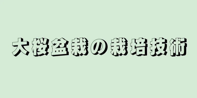 大桜盆栽の栽培技術
