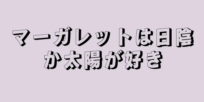マーガレットは日陰か太陽が好き