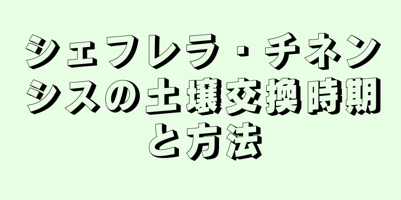シェフレラ・チネンシスの土壌交換時期と方法