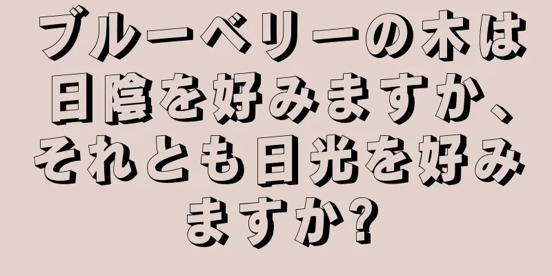 ブルーベリーの木は日陰を好みますか、それとも日光を好みますか?