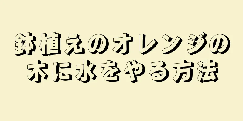 鉢植えのオレンジの木に水をやる方法