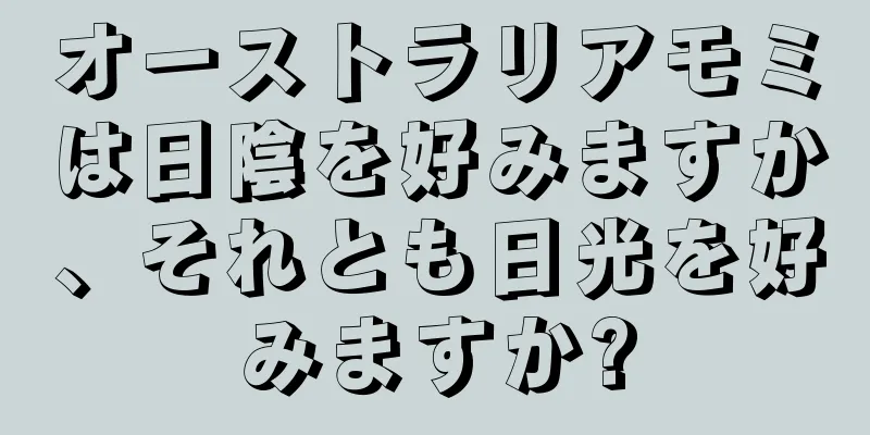 オーストラリアモミは日陰を好みますか、それとも日光を好みますか?