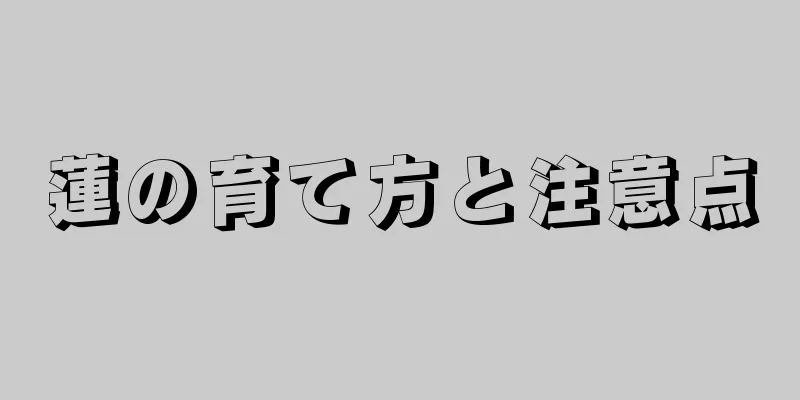 蓮の育て方と注意点