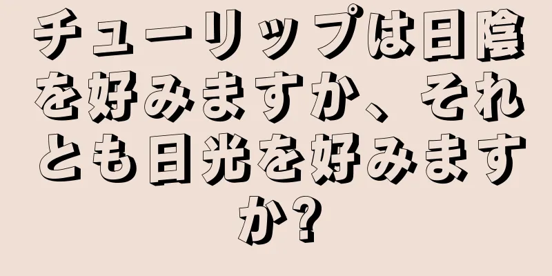 チューリップは日陰を好みますか、それとも日光を好みますか?