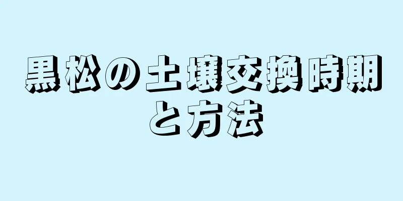 黒松の土壌交換時期と方法