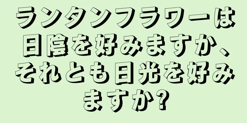 ランタンフラワーは日陰を好みますか、それとも日光を好みますか?