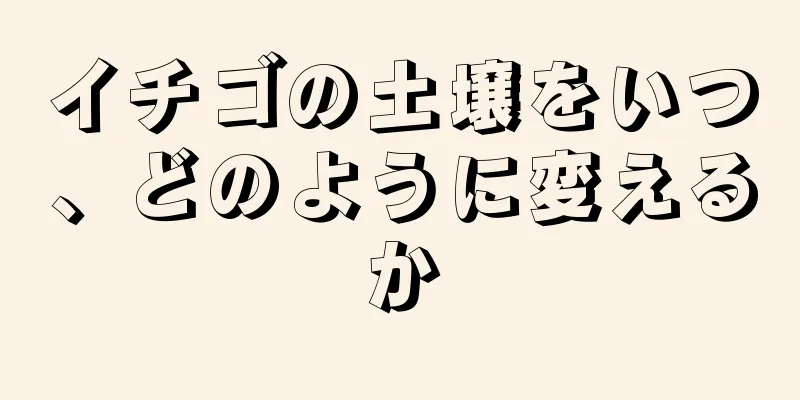 イチゴの土壌をいつ、どのように変えるか