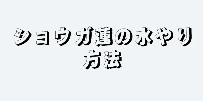 ショウガ蓮の水やり方法