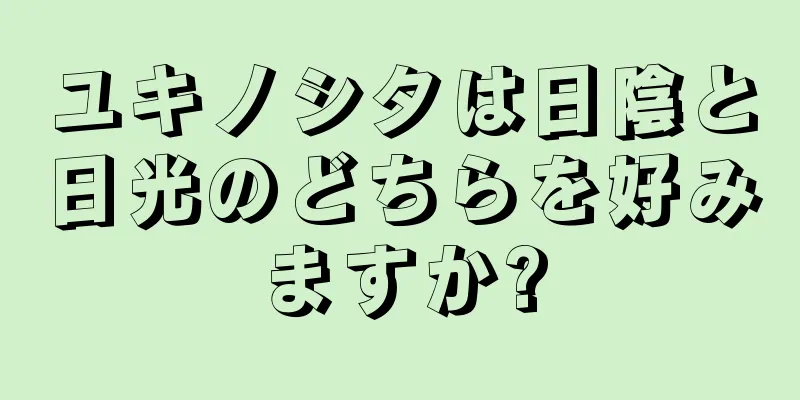 ユキノシタは日陰と日光のどちらを好みますか?
