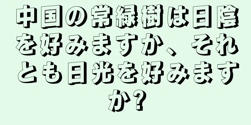 中国の常緑樹は日陰を好みますか、それとも日光を好みますか?