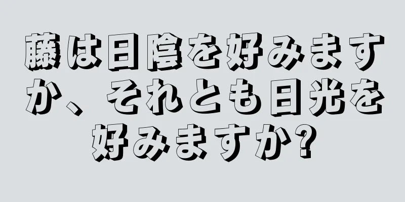 藤は日陰を好みますか、それとも日光を好みますか?