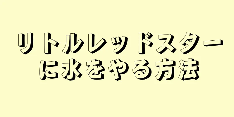リトルレッドスターに水をやる方法
