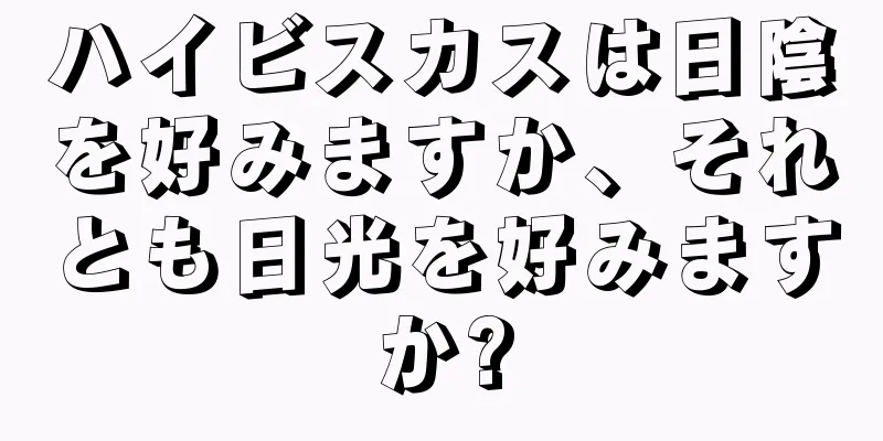 ハイビスカスは日陰を好みますか、それとも日光を好みますか?