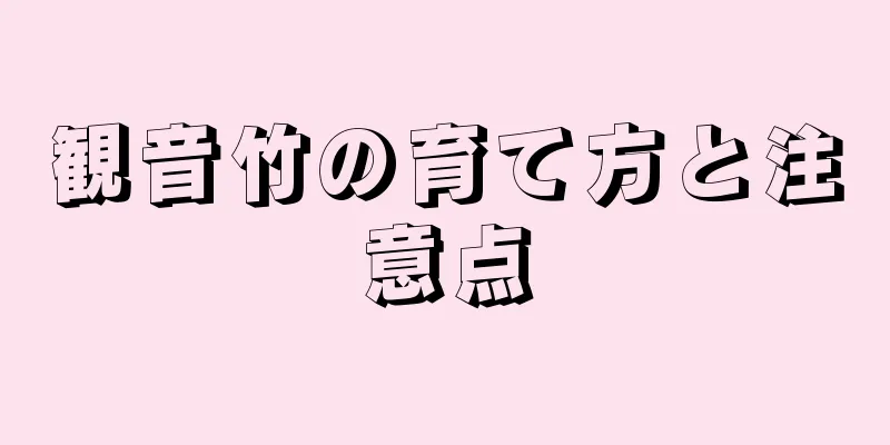 観音竹の育て方と注意点