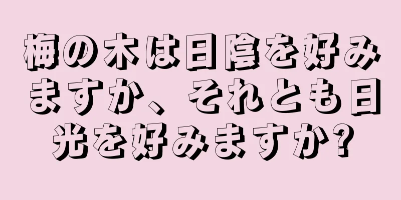 梅の木は日陰を好みますか、それとも日光を好みますか?