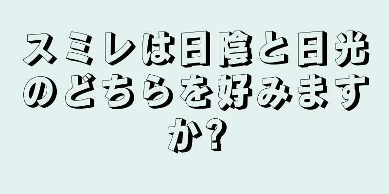 スミレは日陰と日光のどちらを好みますか?