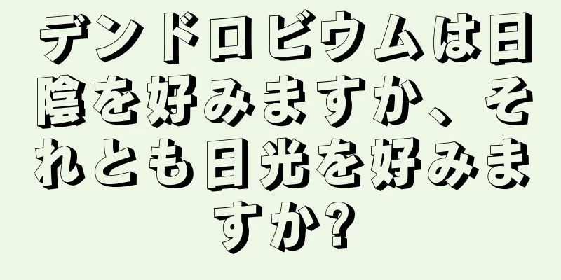 デンドロビウムは日陰を好みますか、それとも日光を好みますか?