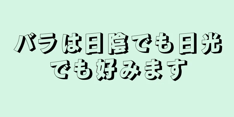 バラは日陰でも日光でも好みます