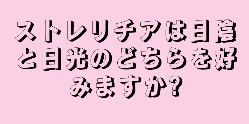 ストレリチアは日陰と日光のどちらを好みますか?