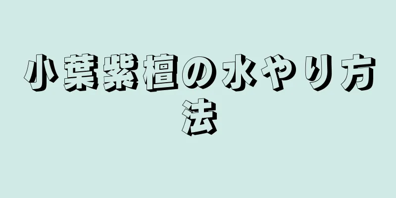 小葉紫檀の水やり方法