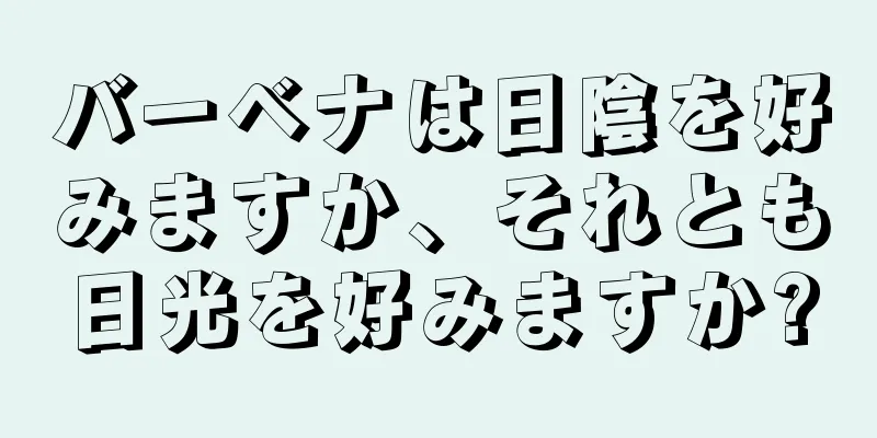 バーベナは日陰を好みますか、それとも日光を好みますか?