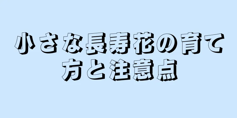 小さな長寿花の育て方と注意点