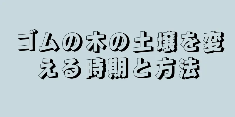 ゴムの木の土壌を変える時期と方法