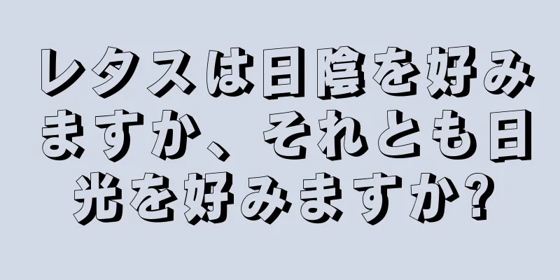 レタスは日陰を好みますか、それとも日光を好みますか?