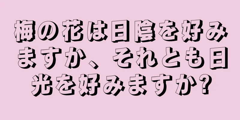 梅の花は日陰を好みますか、それとも日光を好みますか?