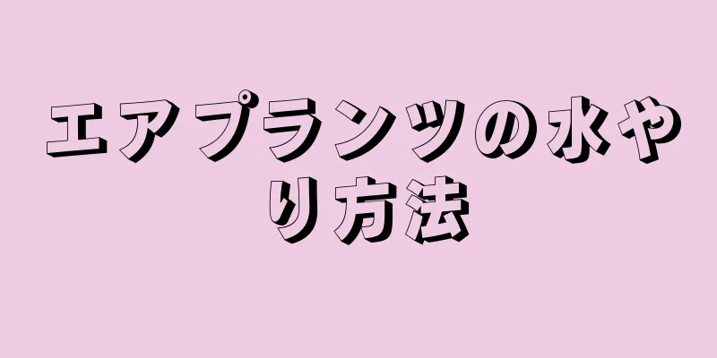 エアプランツの水やり方法