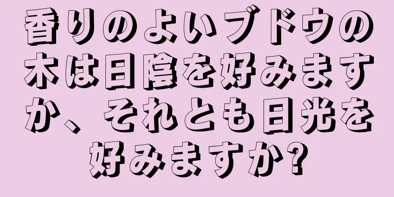 香りのよいブドウの木は日陰を好みますか、それとも日光を好みますか?